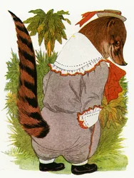 Coati, 1913